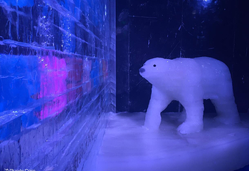 南浔古镇冰雪世界第 10 张图片