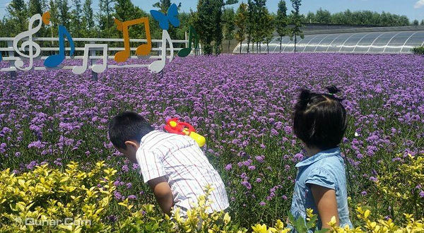 七彩蝶戏水乐园