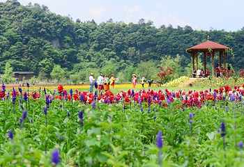 花坝旅游度假区第 4 张图片