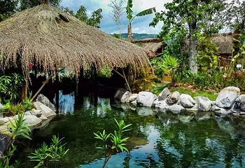 梁河金塔温泉第 4 张图片