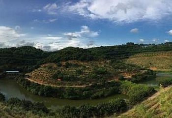 侯哥花果山第 4 张图片