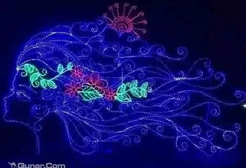 鸟巢梦幻星光节第 2 张图片