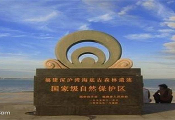 围头村第 3 张图片