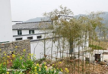 樱桃小镇第 7 张图片
