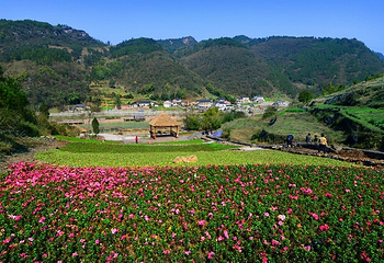 凉风村第 12 张图片