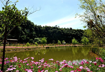 花坝旅游度假区第 11 张图片