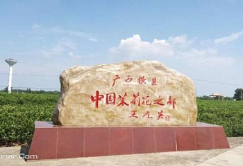 中华茉莉园第 1 张图片