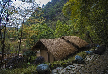 酉阳桃花源景区第 29 张图片