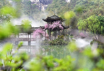 酉阳桃花源景区第 3 张图片