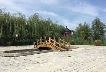 白洋淀梦里水乡第 6 张图片