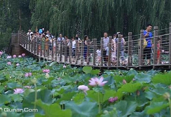 洛阳会盟银滩生态产业园第 6 张图片