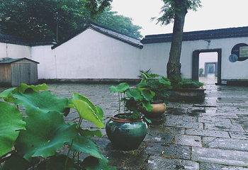 富义仓遗址公园第 3 张图片