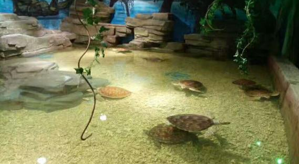 宁乡海立方酷比克海洋公园