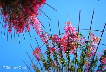 盖蒂中心第 2 张图片