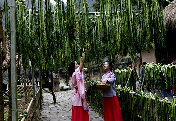 酉阳桃花源景区第 5 张图片