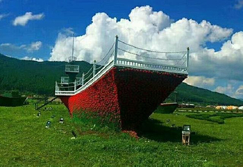 朗乡花海航母乐园第 1 张图片
