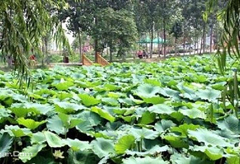 洛阳会盟银滩生态产业园第 5 张图片