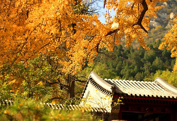 北京凤凰岭景区第 9 张图片