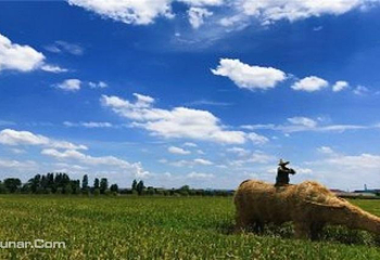 稻花香里农耕文化园第 8 张图片