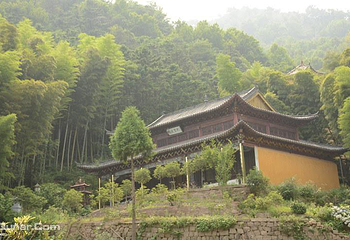 大龙山乌龙溪景区第 2 张图片