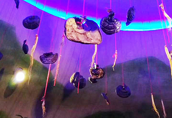 木子塘汗蒸生活馆第 5 张图片