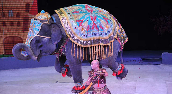 第16届中国吴桥国际杂技节暨马戏嘉年华