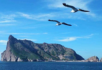 长岛海上游第 26 张图片