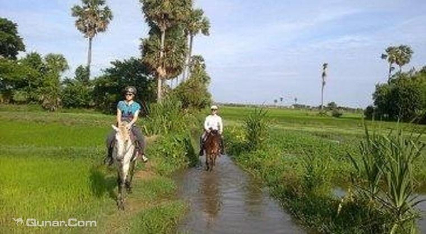 暹粒开心牧马场
