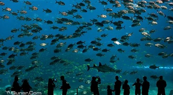 ILLA Fantasia水上世界