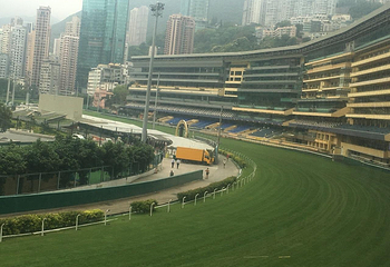 赛马博物馆第 6 张图片