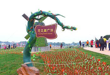 花花世界第 14 张图片