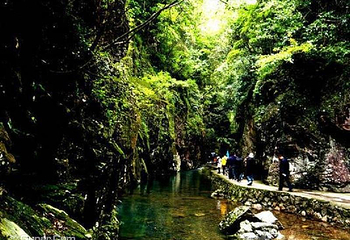 桫椤峡谷景区第 4 张图片