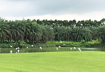 迪茵湖第 44 张图片
