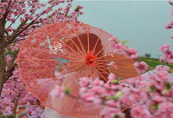 花花世界第 11 张图片