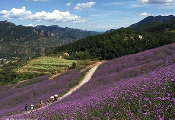 南天丽景风景区第 5 张图片