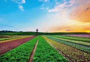 花田美地第 4 张图片