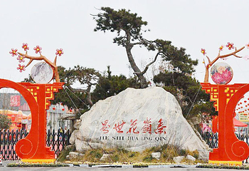 秦岭花世界第 1 张图片