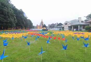 观澜湖蝴蝶热气球文化节第 3 张图片