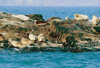 长岛海上游第 8 张图片