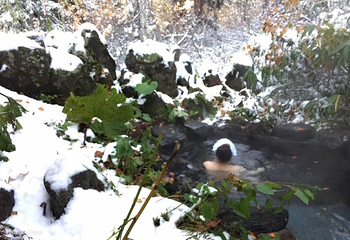 大雪山国立公园第 3 张图片