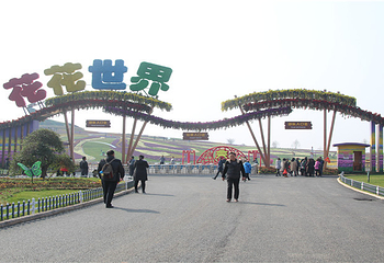 花花世界第 13 张图片