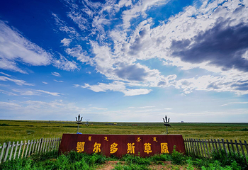 鄂尔多斯草原旅游区第 31 张图片