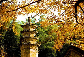 黄柏山国家森林公园第 18 张图片