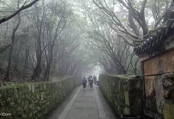 舟山市普陀山风景区-佛顶山第 13 张图片