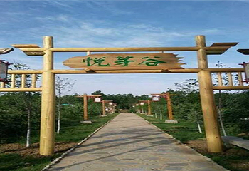西安悦芽谷第 1 张图片