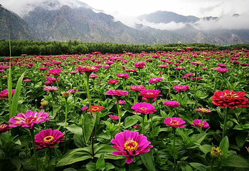 七彩大地旅游景区第 10 张图片