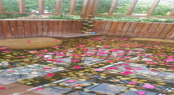 丞起颐天园九六温泉