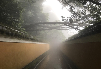 舟山市普陀山风景区-佛顶山第 9 张图片