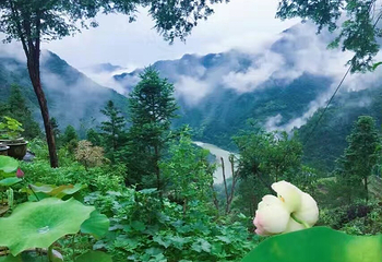 丽水景宁云耕生活旅游区第 5 张图片