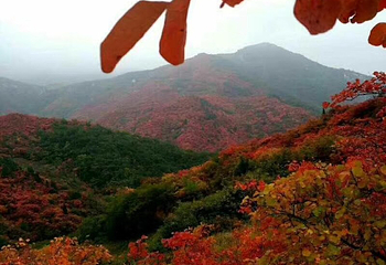 洛阳花果山景区第 2 张图片